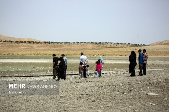 آخرین وضعیت دریاچه پری؛ ماهی ها تلف شدند