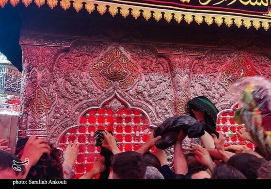 حرم امام حسین (ع) در آستانه اربعین؛ دریای اشک و زمزمه عاشقان