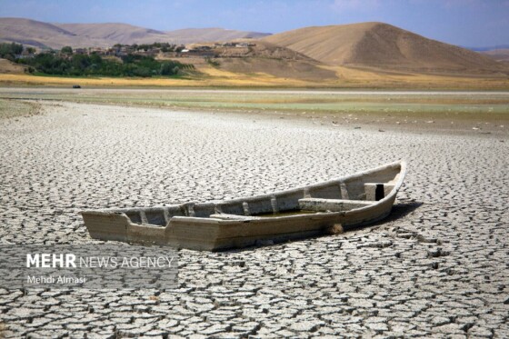 آخرین وضعیت دریاچه پری؛ ماهی ها تلف شدند