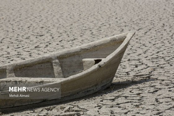 آخرین وضعیت دریاچه پری؛ ماهی ها تلف شدند