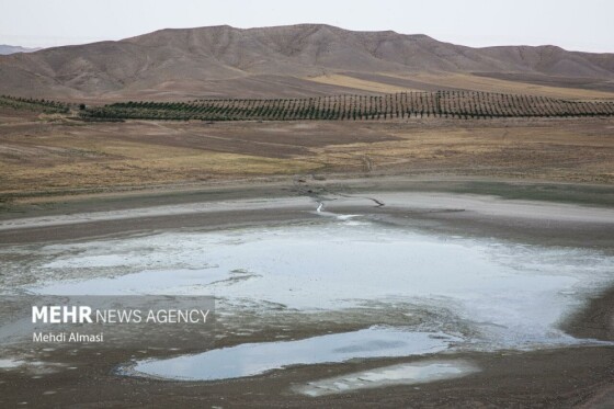 آخرین وضعیت دریاچه پری؛ ماهی ها تلف شدند