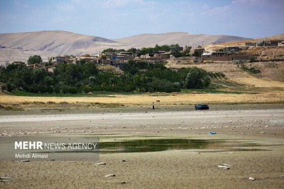 آخرین وضعیت دریاچه پری؛ ماهی ها تلف شدند