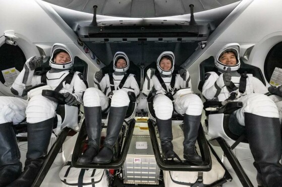 در سواحل سن دیگو، کالیفرنیا