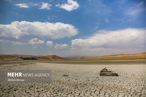 آخرین وضعیت دریاچه پری؛ ماهی ها تلف شدند