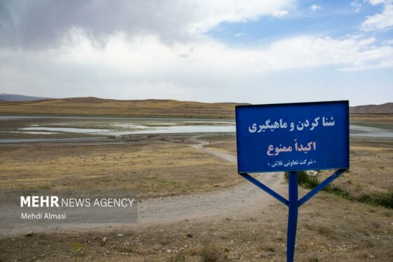آخرین وضعیت دریاچه پری؛ ماهی ها تلف شدند