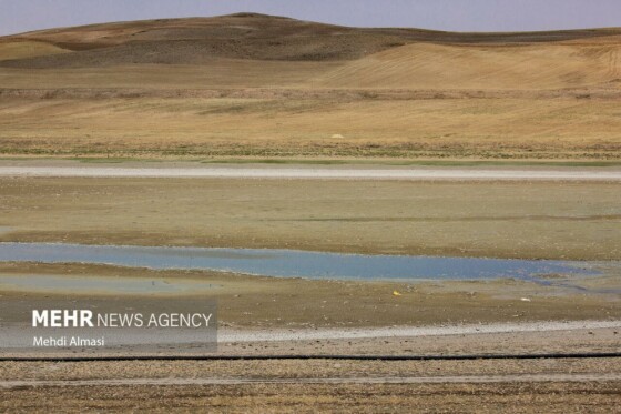 آخرین وضعیت دریاچه پری؛ ماهی ها تلف شدند
