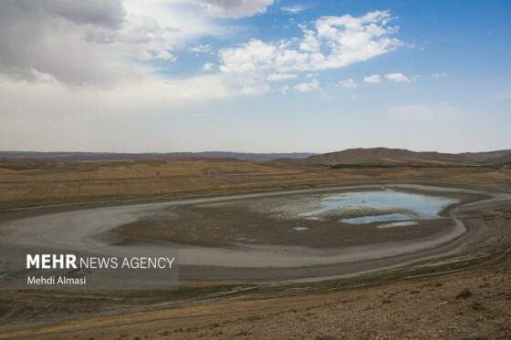 آخرین وضعیت دریاچه پری؛ ماهی ها تلف شدند