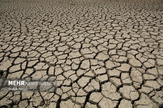 آخرین وضعیت دریاچه پری؛ ماهی ها تلف شدند