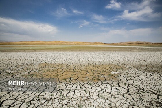 آخرین وضعیت دریاچه پری؛ ماهی ها تلف شدند