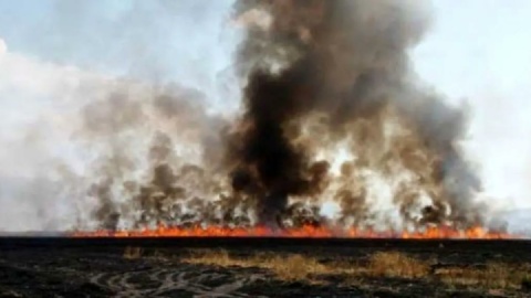 پایان عملیات نفس‌گیر اطفای حریق تالاب میانگران ایذه