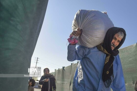 بازگشت افغانستانی‌های غیرمجاز از مرز دوغارون