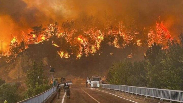 احتمال عمدی بودن آتش‌سوزی در جنوب فرانسه وجود دارد