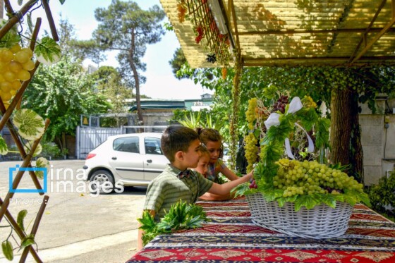 بزرگداشت عروج حضرت مریم (س) و عید تبرک انگور