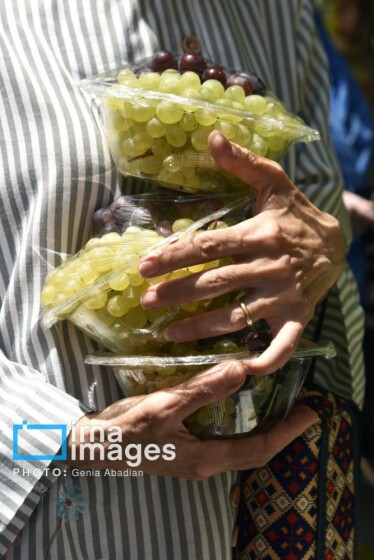 بزرگداشت عروج حضرت مریم (س) و عید تبرک انگور