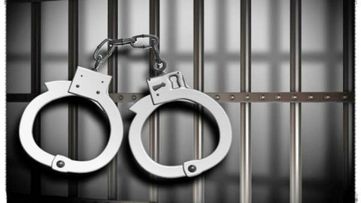 عقاب چگونه سردسته باند سارقان شد؟