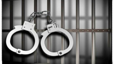 عقاب چگونه سردسته باند سارقان شد؟