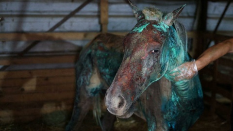 جهان در روزی که گذشت