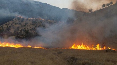دستگیری سه دام‌دار به‌خاطر آتش‌سوزی عمدی جنگل‌های دره‌شهر