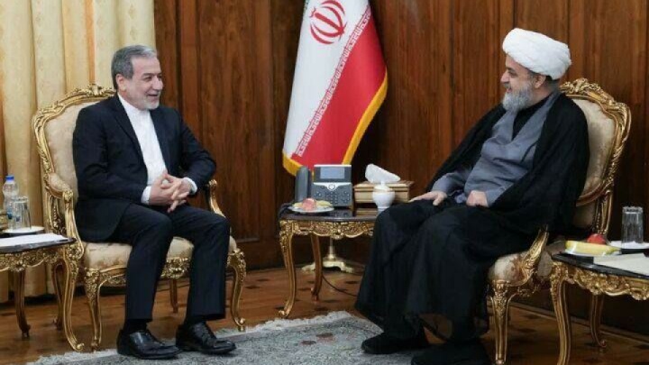 دبیرکل مجمع جهانی تقریب مذاهب اسلامی با عراقچی دیدار کرد