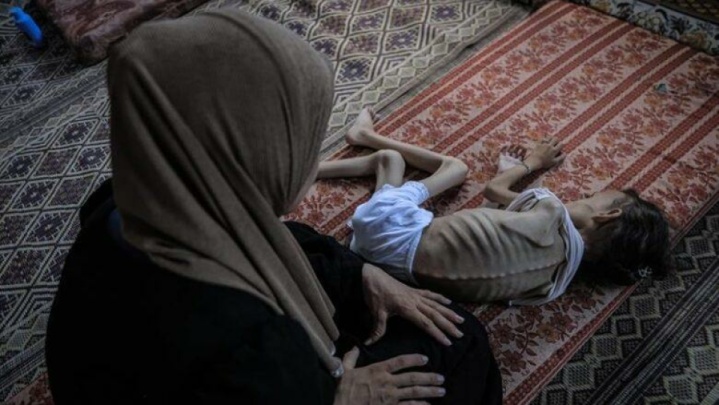 جنایت در روز روشن، انکار در تاریکی: آینده روایت غزه