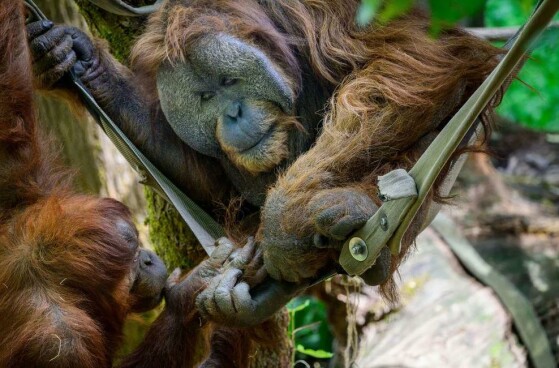 سیاتل، آمریکا