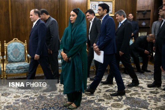 دیدار وزیر امنیت غذایی و تحقیقات ملی پاکستان با معاون اول رئیس جمهور