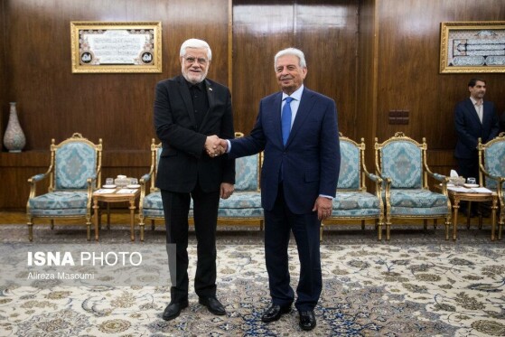 دیدار وزیر امنیت غذایی و تحقیقات ملی پاکستان با معاون اول رئیس جمهور