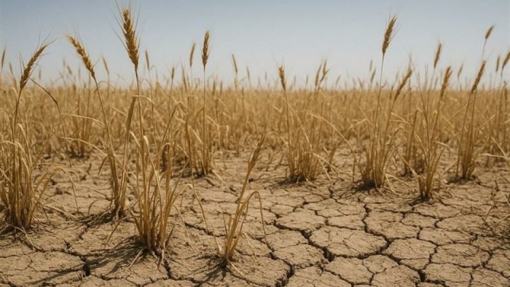 ریسک و فرصت بحران آب برای بورس