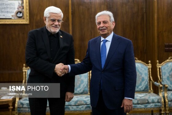 دیدار وزیر امنیت غذایی و تحقیقات ملی پاکستان با معاون اول رئیس جمهور