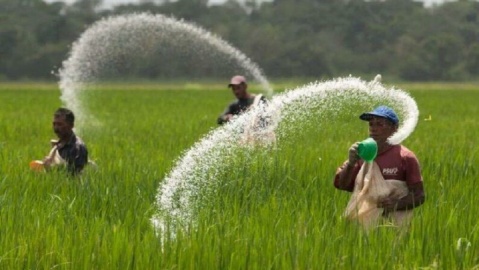 کمبود مواد اولیه تولید کودهای کشاورزی در آستانه فصل کشت پاییزه