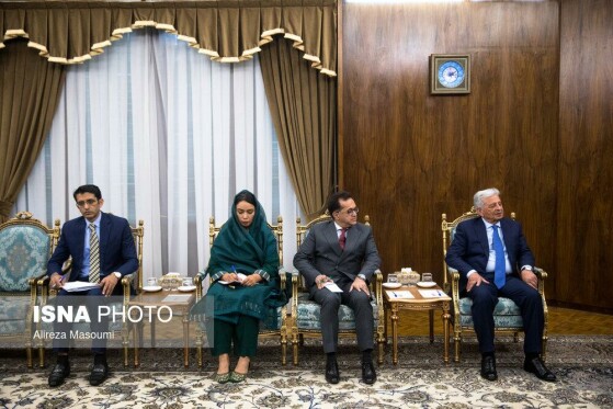 دیدار وزیر امنیت غذایی و تحقیقات ملی پاکستان با معاون اول رئیس جمهور