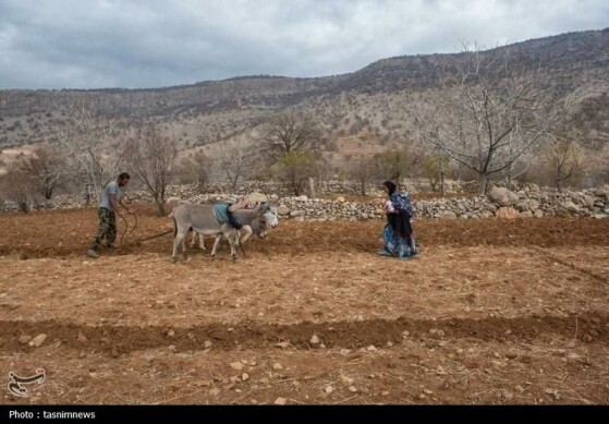 چشم روستا، قلب عشایر