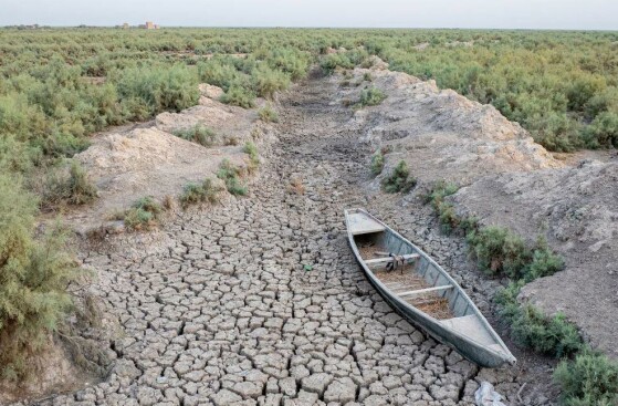 ذی قار، عراق