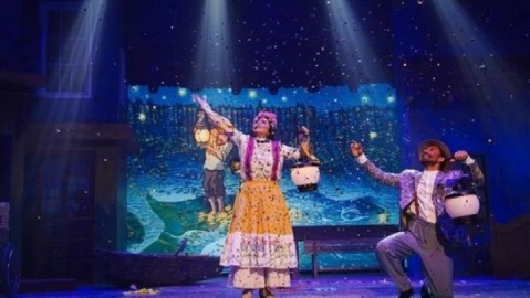 رویا میرعلمی از سانسور برنامهاش در «کارناوال» انتقاد کرد