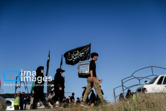 زائران پیاده در راه مشهد الرضا(ع)