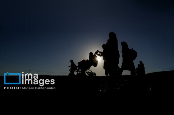 زائران پیاده در راه مشهد الرضا(ع)