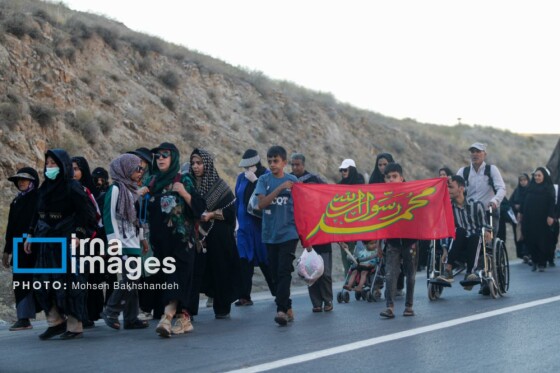 زائران پیاده در راه مشهد الرضا(ع)