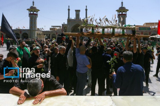 عزادارای ۲۸ صفر - حرم حضرت معصومه (س)