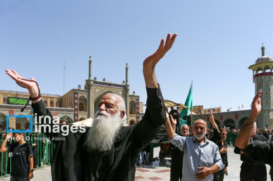 عزادارای ۲۸ صفر - حرم حضرت معصومه (س)