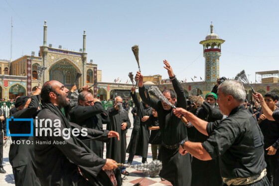 عزادارای ۲۸ صفر - حرم حضرت معصومه (س)