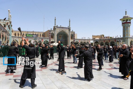 عزادارای ۲۸ صفر - حرم حضرت معصومه (س)