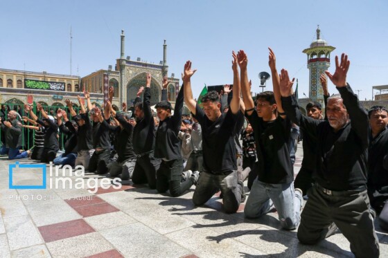 عزادارای ۲۸ صفر - حرم حضرت معصومه (س)