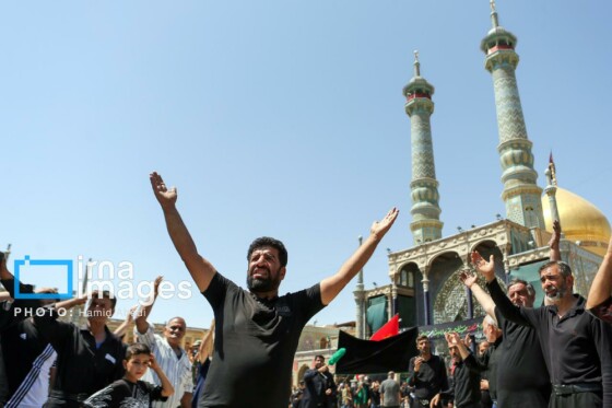 عزادارای ۲۸ صفر - حرم حضرت معصومه (س)