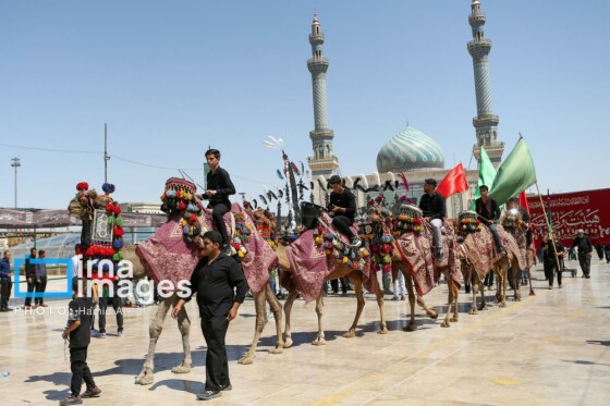 عزادارای ۲۸ صفر - حرم حضرت معصومه (س)