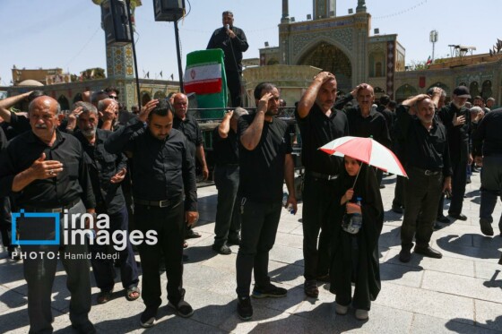 عزادارای ۲۸ صفر - حرم حضرت معصومه (س)