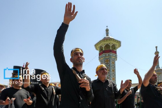 عزادارای ۲۸ صفر - حرم حضرت معصومه (س)