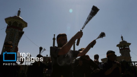 گزارش تصویری/ عزادارای ۲۸ صفر - حرم حضرت معصومه (س)