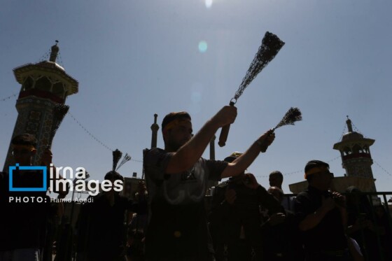 عزادارای ۲۸ صفر - حرم حضرت معصومه (س)