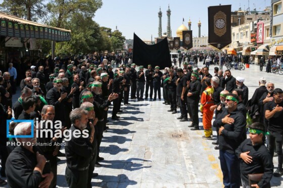 عزادارای ۲۸ صفر - حرم حضرت معصومه (س)