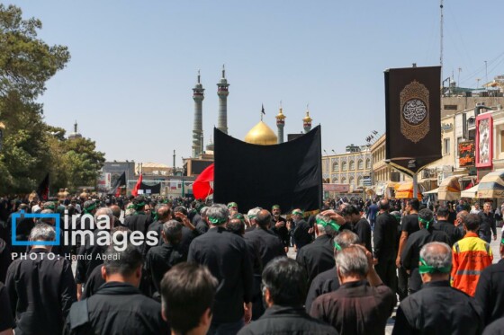 عزادارای ۲۸ صفر - حرم حضرت معصومه (س)